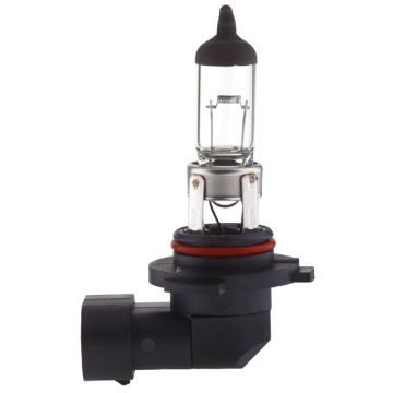 H10 Halogen Lamp
