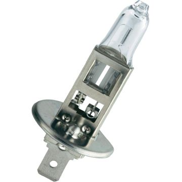 H1 Halogen Lamp 