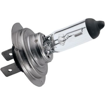H7 Halogen Lamp